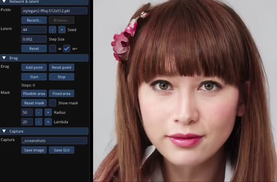 install DragGAN editing tool